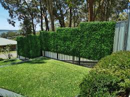 Artificial Boxwood Hedge Fence